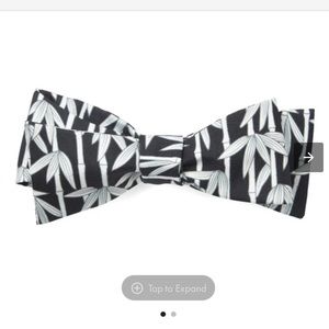 Colton Haynes Bow tie